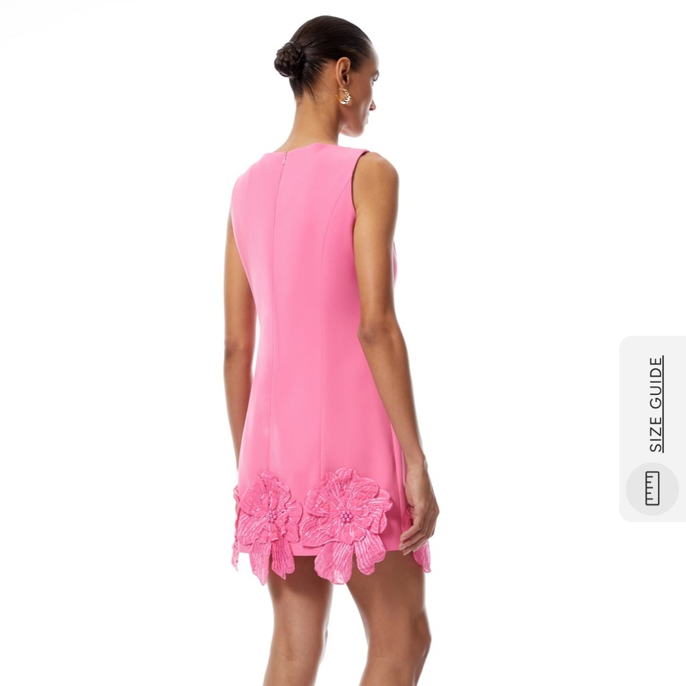 Fleurine Hot Pink Floral Appliqué Mini Dress - Picture 2 of 9